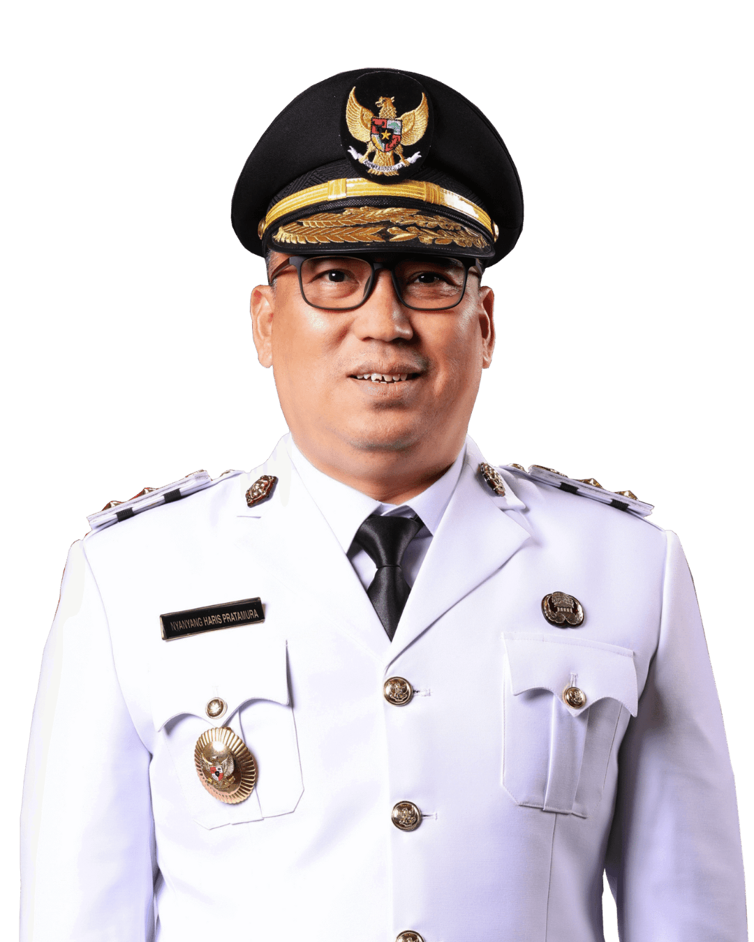 Nyanyang Haris Pratamura, S.E., M.Si. — Wakil Gubernur Kepulauan Riau